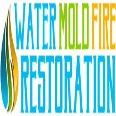 Top Mold Remediation and Removal Services  WMF