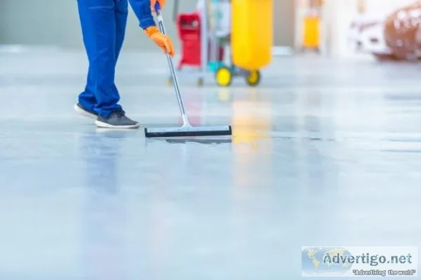 Professional Handyman Service in Chicago