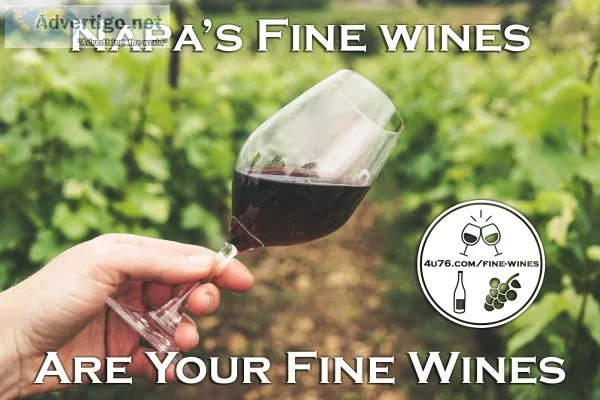 Need stable income? enjoy Fine wines and make stable Income Too!