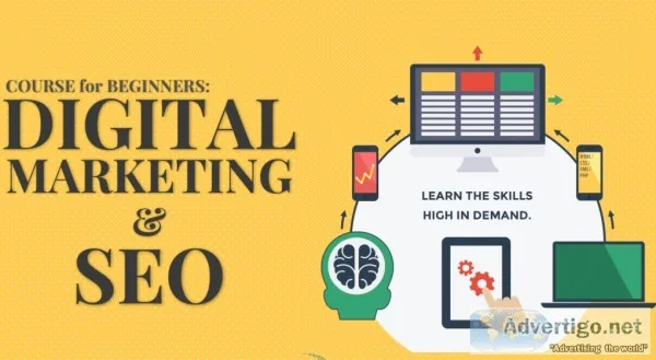 SEO Training in Noida