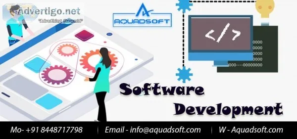 Software Development Company in Noida  India
