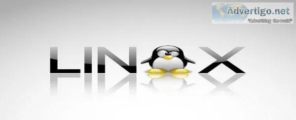 Best Institute for Linux Course in Delhi
