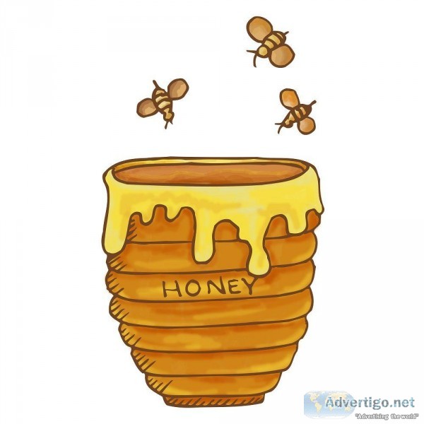 Honey Pot T-Shirt