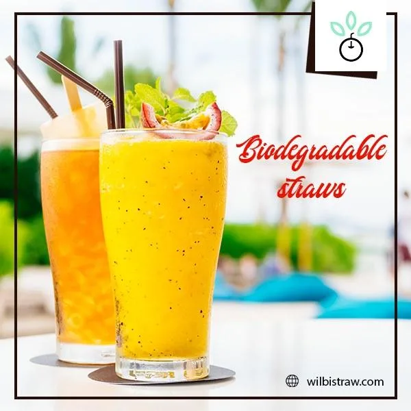 Biodegradable Drinking Plastic Straws Eco Friendly Straws