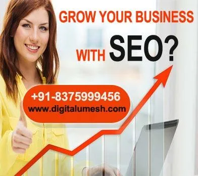 no.1 SEO company in pitampura