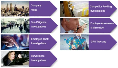 Choose a highly-skilled Private Detective from a reputable inves