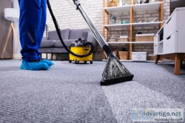Looking for Carpet Cleaning Services in Woodbridge VA