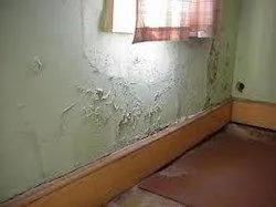 Rising Dampness Treatment Services