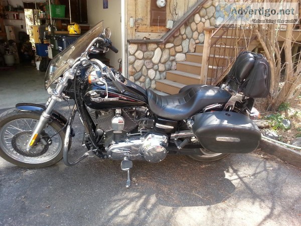 Harley Davidson