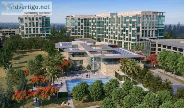 BIM Project Management in USA  BIM Project Management in UK   BI
