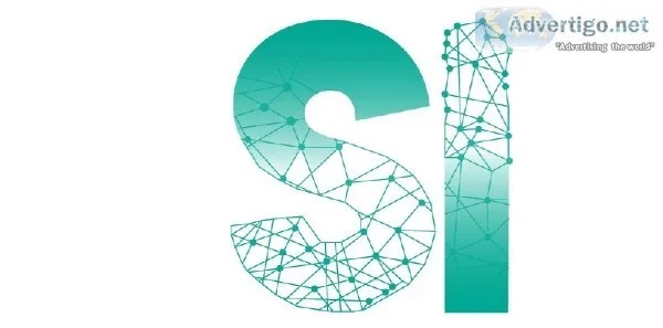 Socio Influencer Marketing Agency in Delhi