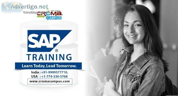 SAP Training Institute with Job Placement Support.
