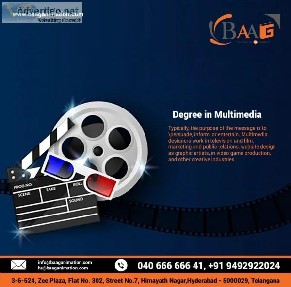 Degree in Multimedia