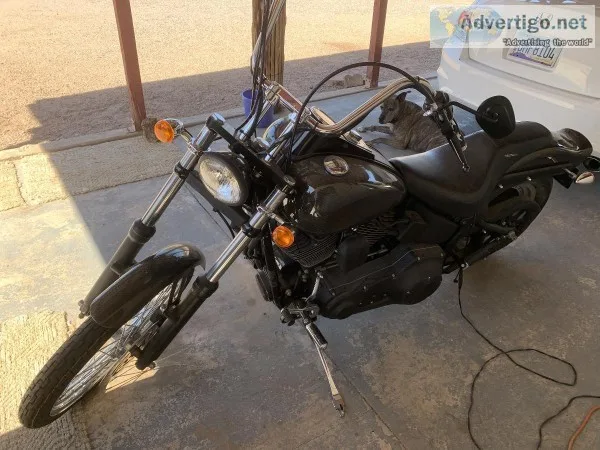 2003 Harley-Davidson soft tail
