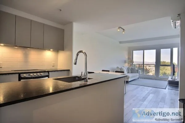 3 12 condo style apartment Semi-furnished Competitive 