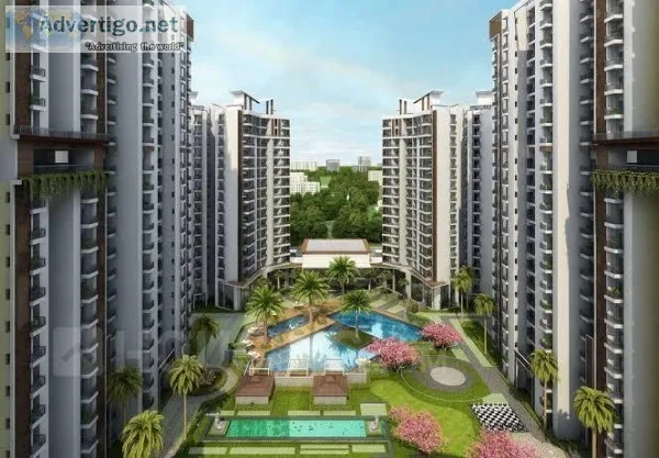 Stress Free Payment Plan 404020 in Ace Divino  8750-488-588  Noi