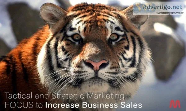 SEO Services Company Pittsburgh