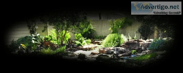 Get best Landscape Installation Service in Bonita Springs -Progr