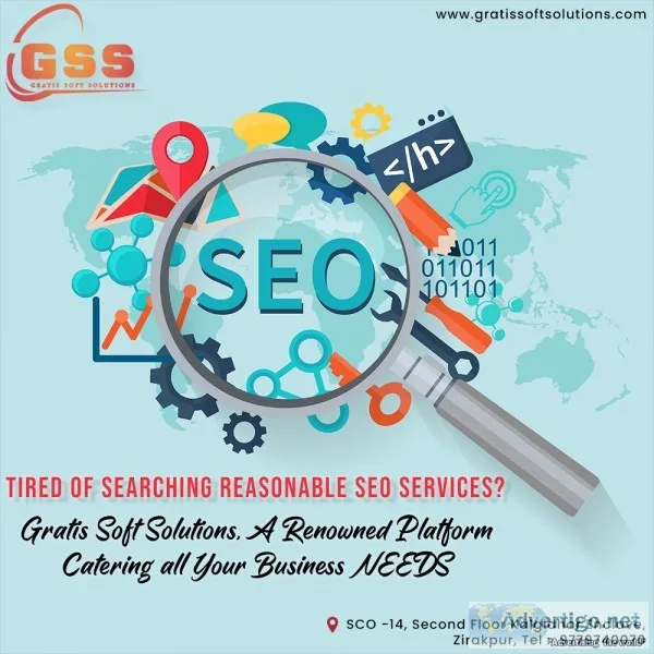 SEO Services in Zirakpur
