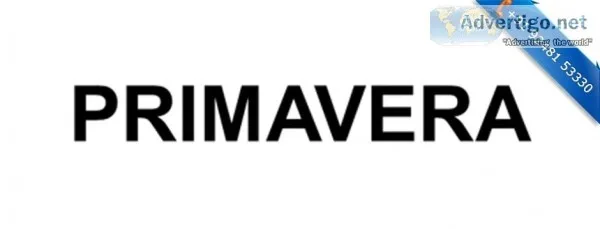 ONLINE PRIMAVERA TRAINING COURSE in Ameerpet Hyderabad India - S