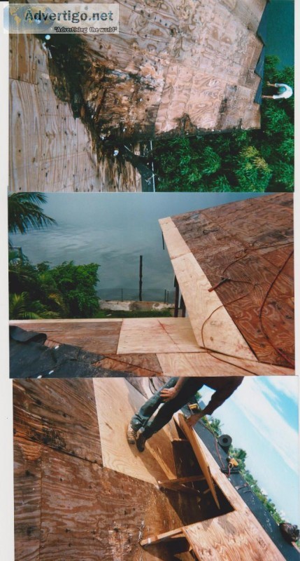 Roof repair profesional