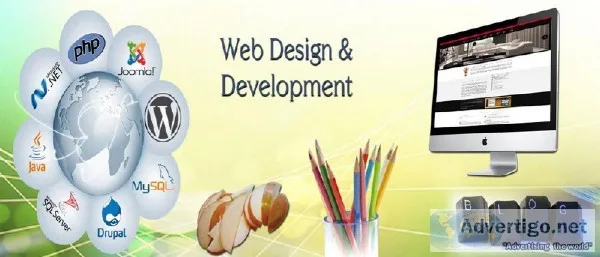 Best Wordpress Website Developer