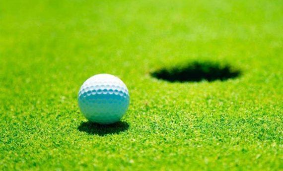 Artificial Grass suppliers in Delhi
