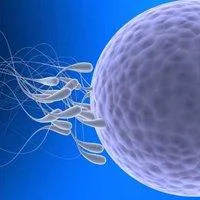 IVF Centre in Delhi Best IVF Center in Delhi