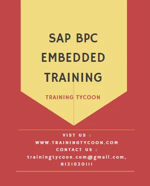 SAP BPC Embedded Training