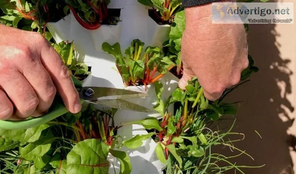 Tower Garden Intro to Aeroponics Support your Healthy Lifestyle 