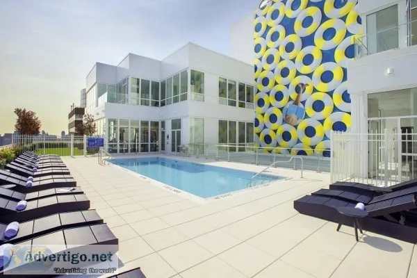 Best 3 BedRoom Apartment