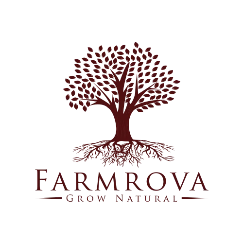 Combination mark logo design  Combination logo design  ProDesign