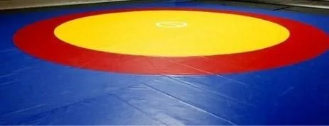 Wrestling Mats as per your need