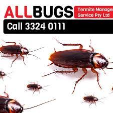 Contact a renowned Cockroach Control Company for cockroach contr