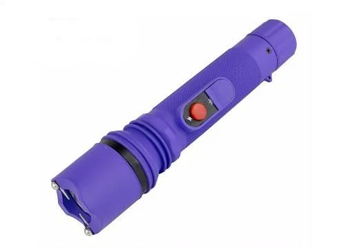 Flash light stun gun