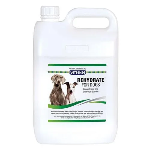 VETSENSE REHYDRATE &ndash ORAL ELECTROLYTE SOLUTION FOR DOGS