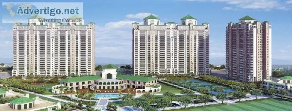 King Size Apartments in ATS Le Grandiose Sector 150  8010724724