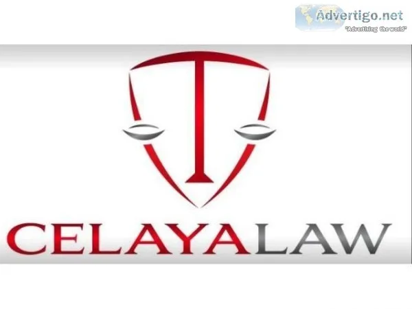 Estate Lawyer