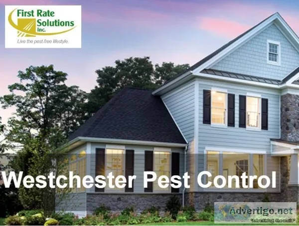 Pest Termite control services in Westchester NY