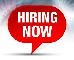 We are hiring a Fullstack Java Developer.