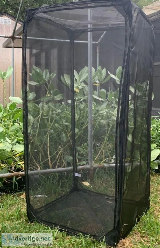 Butterfly Cages for sale