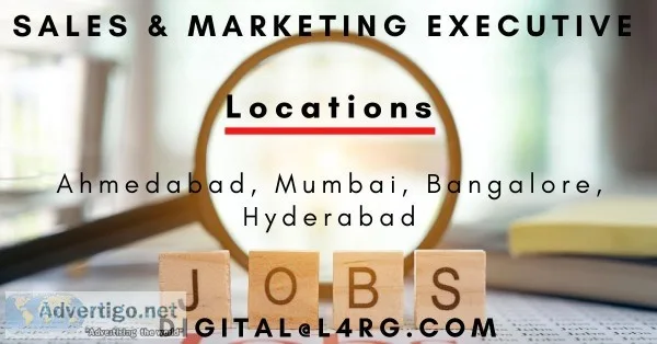 Sale and Marketing Executive Job
