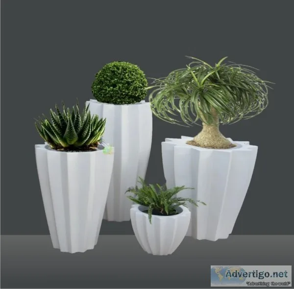 Yuccabe Italia - Leading and Popular Company Selling Indoor and 