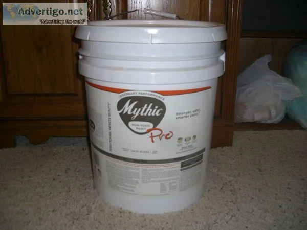 INDUSTRIAL GRADE WHITE PAINT