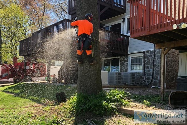 Tree Pruning Service in North NJ