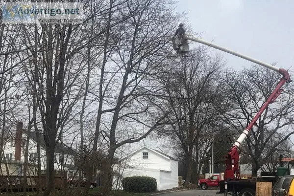 Crane Service in North NJ