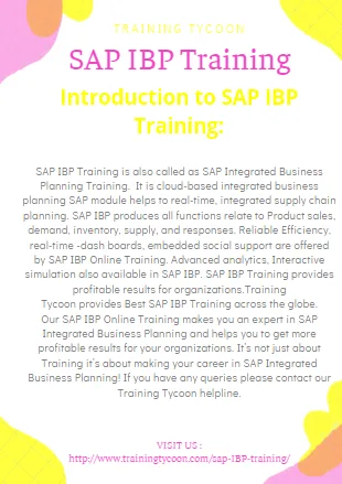 SAP IBP Training