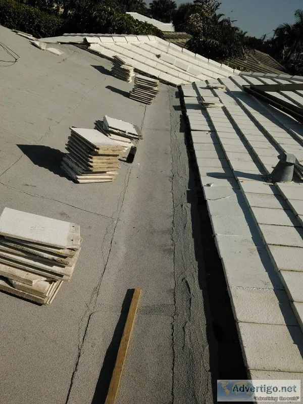 Roof and General Contractor