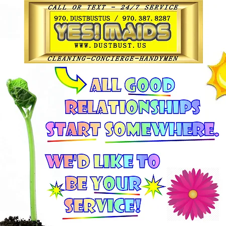 Discover the Best Maid Service