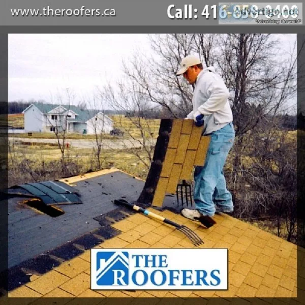 Richmond Hill Flat Roofing  Fully Open and Operational&lrm  The 